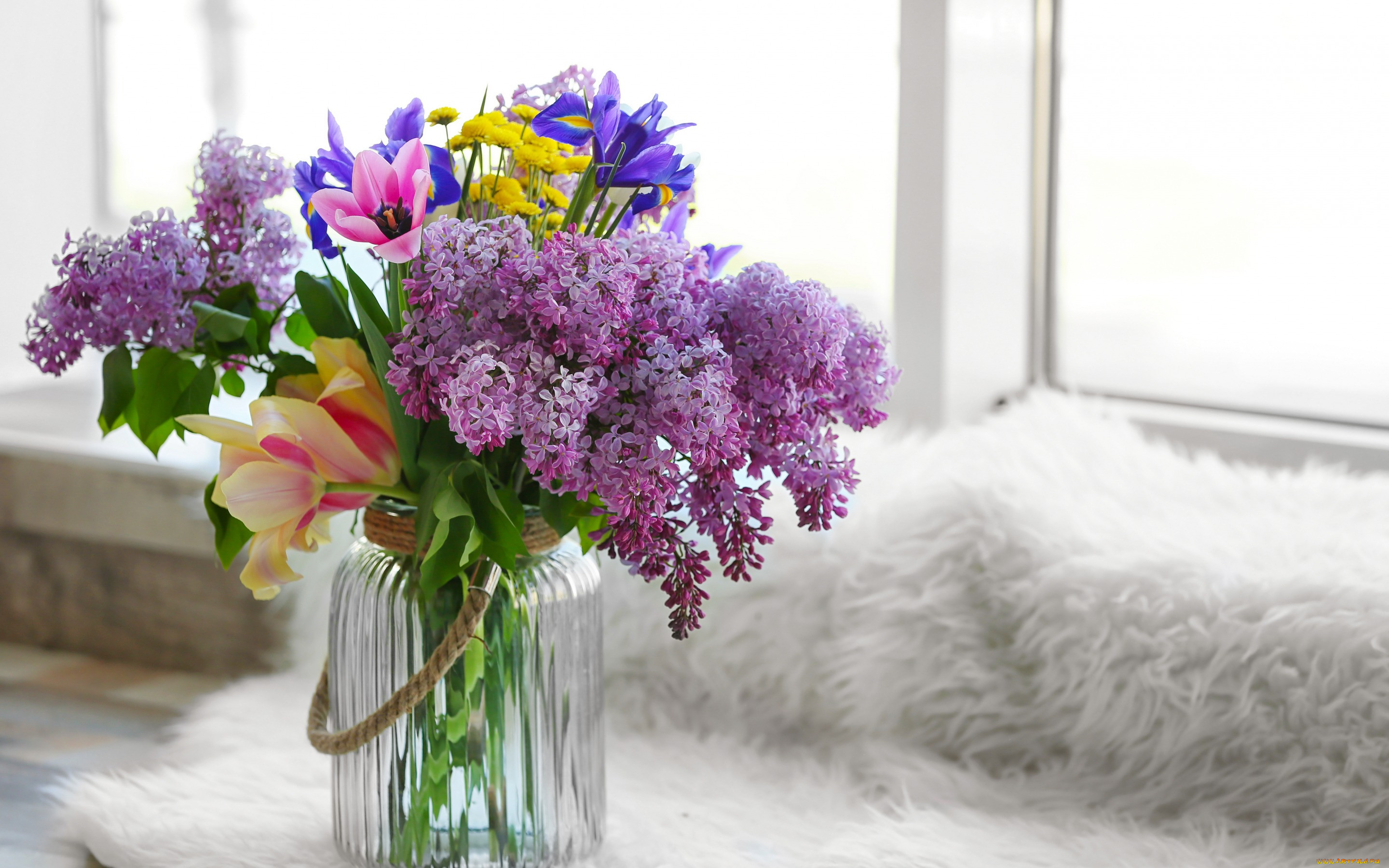 , ,  , lilac, , , , spring, flowers, 